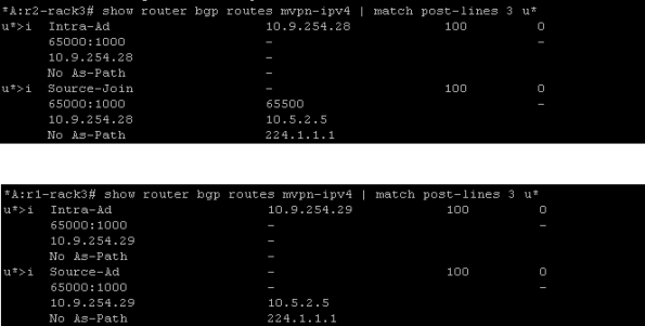 bgp mvpnroutes pe1 and pe2